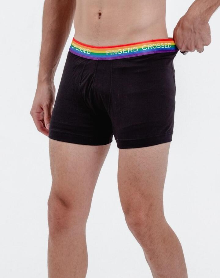 BOXER RAINBOW